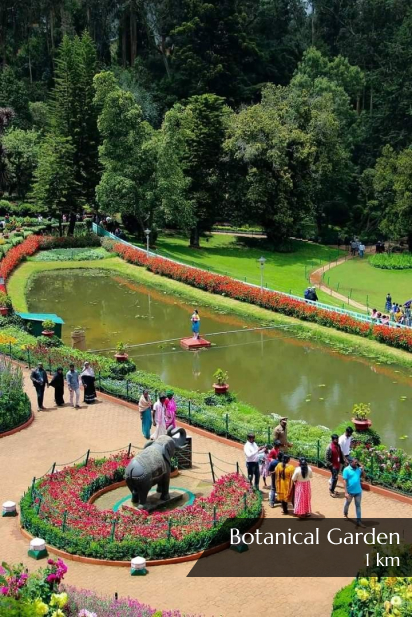 Meadows Botanical Garden