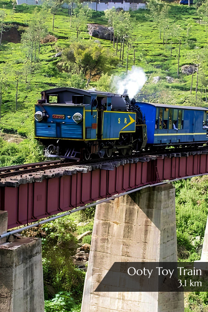 Meadows Ooty Toy Train