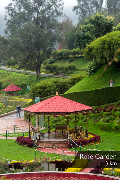 Meadows Rose Garden